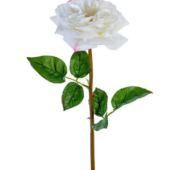 AmBest Garden Rose Stem White 24" - Artificial Flowering Plants Silk