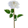 AmBest Garden Rose Stem White 24" - Artificial Flowering Plants Silk