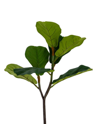 Fiddle Leaf Spray Green 24"