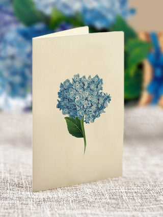 Mini Nantucket Hydrangea Pop-Up Greeting Card