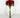 Le Fleur Rose Bundle Red 12" - Uncategorized Silk