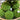 Max Silk Moss Stone Ball 6" - Silk