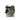 Smell of the Tree potpourri bag by Aromatique in green plaid ribbon.