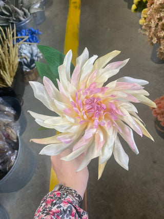 Dahlia Stem Cream Pink 27.5"