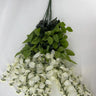 GSC Wisteria Hanging Bush Cream - Artificial Flora Silk
