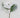 Snowy Magnolia Stem White 29"