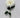 Dahlia Stem Cream 27"