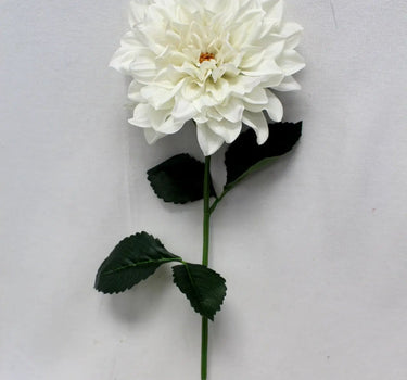 Dahlia Stem Cream 27"