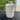 Sagebrook Ceramic Jar with Gold Lid Green/White 9" - Decorative Jars Merchandise