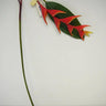 Supreme Heliconia Stem Orange 48" - Artificial Flowering Plants Silk