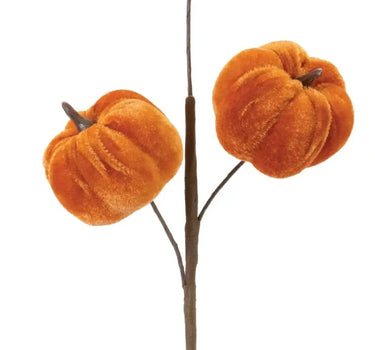 Pumpkin Pick (2 Asst) 12”H
