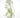 Water Grass Vine 54"