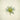 Supreme Aloe Succulent Pick Green/Grey - Uncategorized Silk