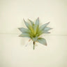 Supreme Aloe Succulent Pick Green/Grey - Uncategorized Silk