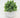 Supreme Hops in Pot Green 7" - Artificial Non-Flowering Plants Silk