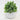 Supreme Hops in Pot Green 7" - Artificial Non-Flowering Plants Silk