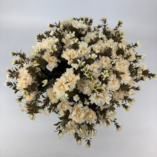 Cream Mum - Potted w/ 2 Bushes