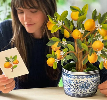 FreshCut Paper LLC Lemon Blossom Tree Pop-Up Greeting Card - Greeting Cards Merchandise