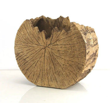 Trunk Section Planter 6.5"H x 8.5"D x 3.75"W