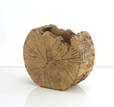 Trunk Section Planter 6.5"H x 8.5"D x 3.75"W