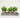 Mix Greenery in Pot/Tray 7"