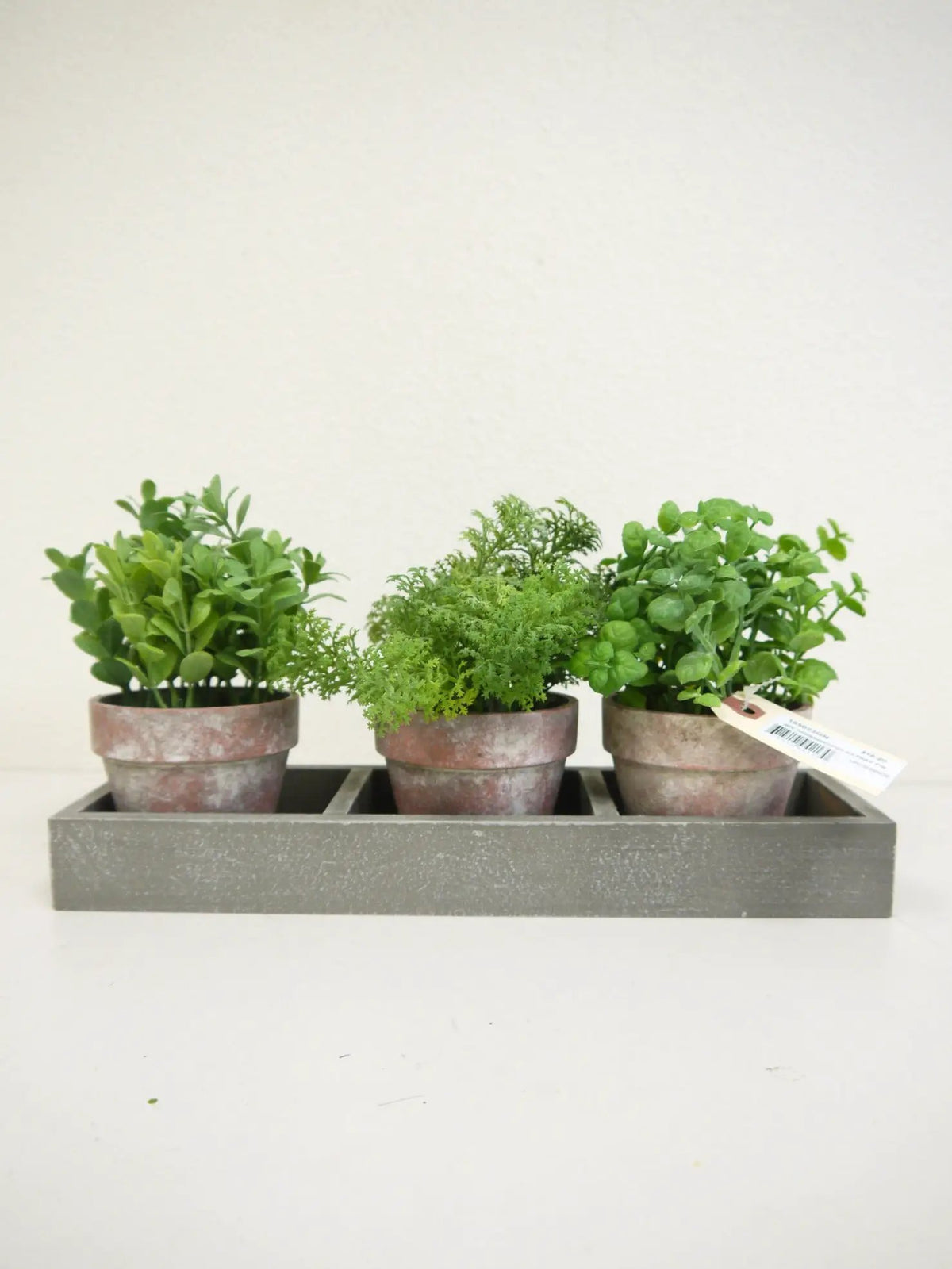 Trays