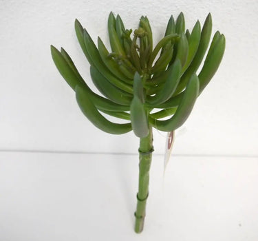 Succulent Pick Green 10"