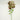 Supreme Phalaenopsis Stem Green-Burgundy 28" - Uncategorized Silk