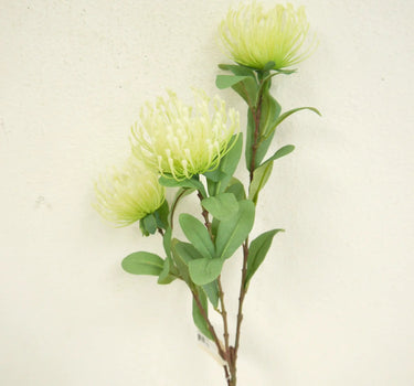 Protea Spray Cream-Green 33"