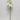 Supreme Cymbidium Stem Cream 30" - Uncategorized Silk