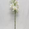 Supreme Cymbidium Stem Cream 30" - Uncategorized Silk