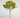 Hydrangea Bush Green 18"