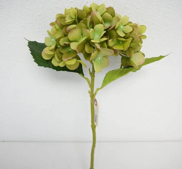 Hydrangea Bush Green 18"