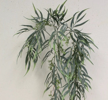Weeping Eucalyptus Vine 36"