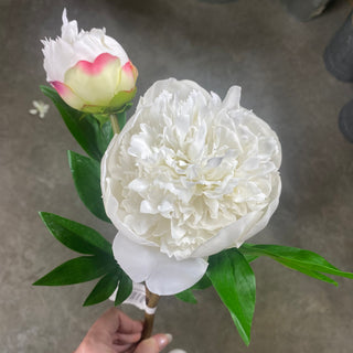 26" Ruffled Peony WH