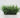 Grass in White Pot 10"