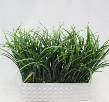 Grass in White Pot 10"