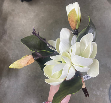 Magnolia Tree Bundle 11"