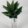 Supreme Agave Plant Green - Uncategorized Silk