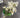 Le Fleur Cluster Mini Flower Bundle (x3) White 18" - Uncategorized Silk