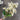 Le Fleur Cluster Mini Flower Bundle (x3) White 18" - Uncategorized Silk