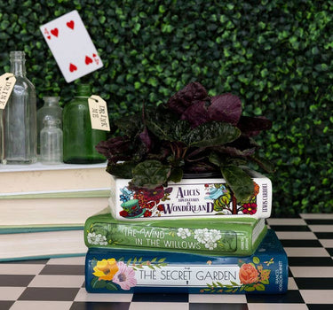 Alice/Wind in the Willows/The Secret Stacked Books Planter