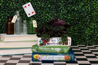 Alice/Wind in the Willows/The Secret Stacked Books Planter