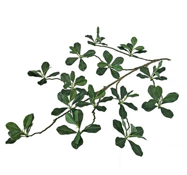 Greenhouse International Black Olive Spray 25" - Silk