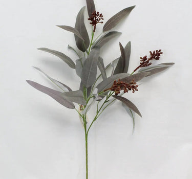 Long Eucalyptus Spray Grey