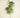Leaf/Berry Spray Blue 30"