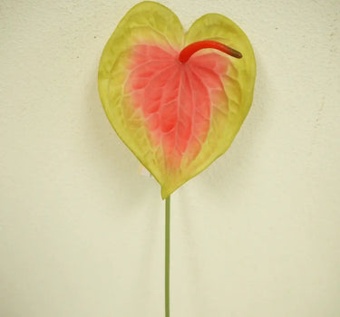 Anthurium Stem Green-Red 28"