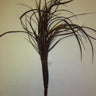Supreme Grass Bush Dark Burgundy - Artificial Non-Flowering Plants Silk