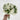 Le Fleur Rose Bundle White 12" - Uncategorized Silk
