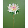 Direct Export Dahlia Stem Cream/Pink 27.5" - Artificial Flowering Plants Silk